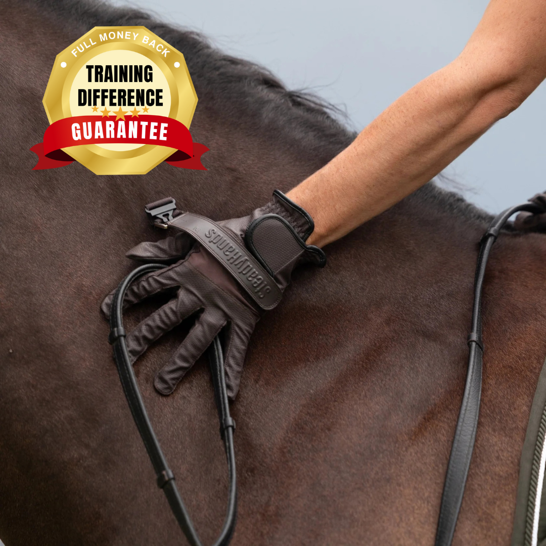 SteadyHands Riding Gloves