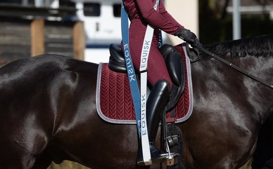 The Pelvis Puzzle: How Hip Function Is the Hidden Key to Effective Riding