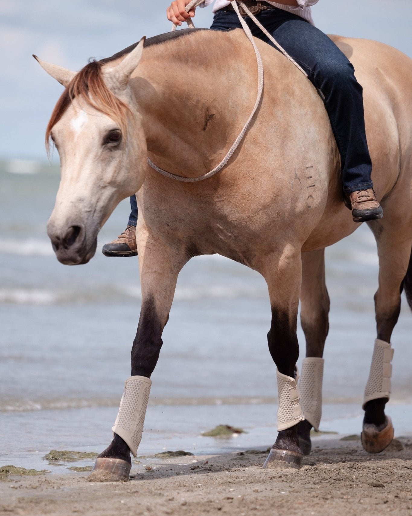 TotalCool Brushing Boot (Pre-Order) - EQUISK