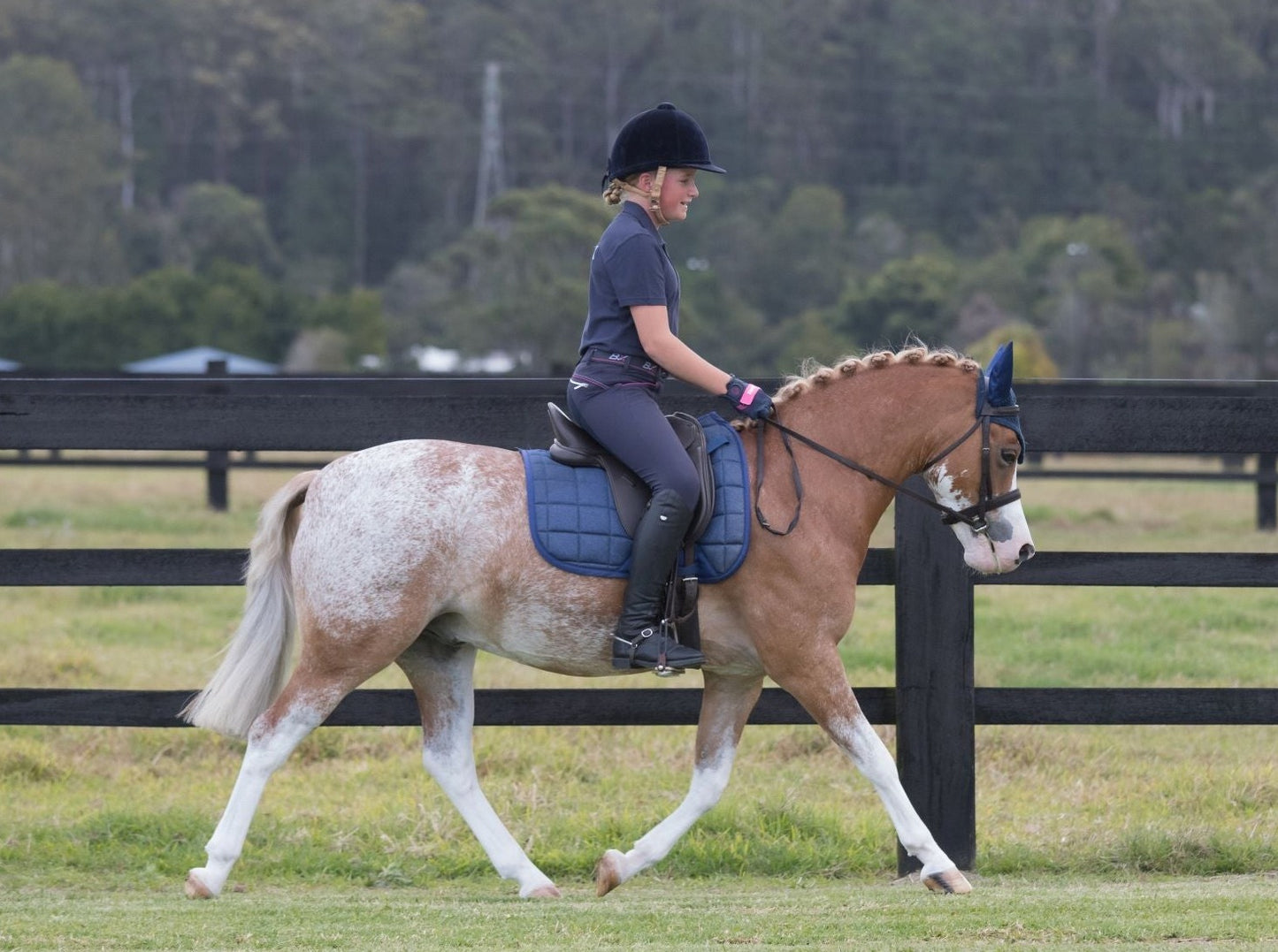 Junior SteadyHands Riding Gloves