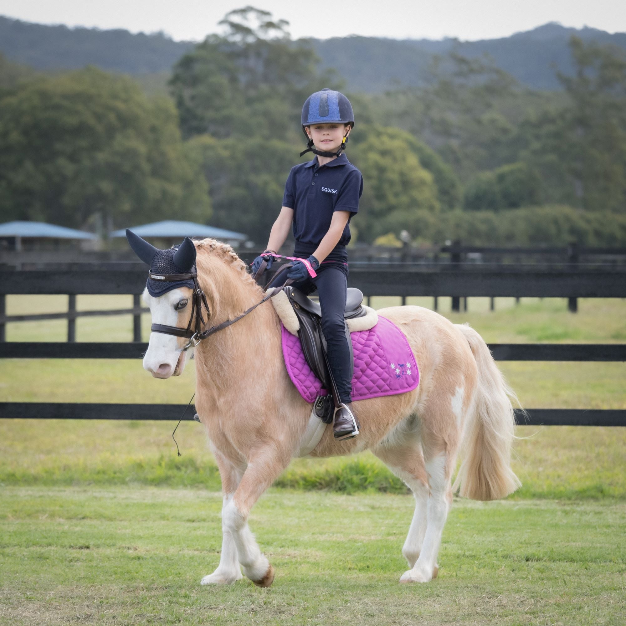 HIRZL SOFFFT Dressage Reithandschuhe – Extra Weiches Cabretta-Leder Für Perfekten Zügelkontakt